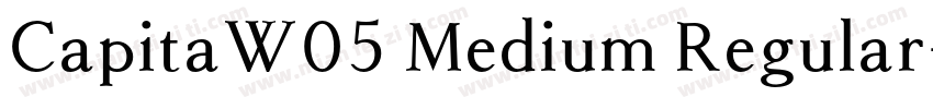 CapitaW05 Medium Regular字体转换